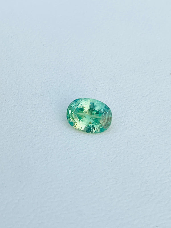 1.07 قيراط من الديمانتويد الناميبي الطبيعي قطع دقيق من الأحجار الكريمة الخضراء WB الأحجار الكريمة DMNA07