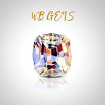 WB Gem logo