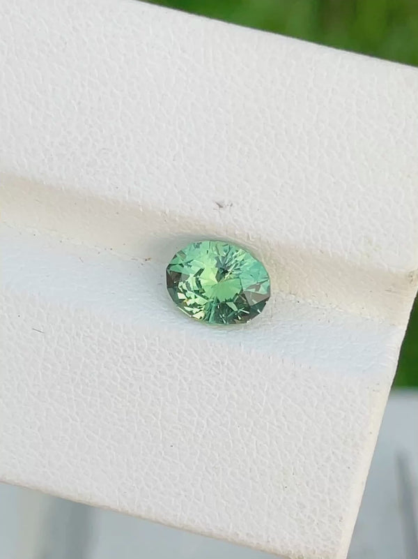 1.37 克拉天然纳米比亚浓绿榴石精密切割绿色宝石 WB 宝石 DMNA08